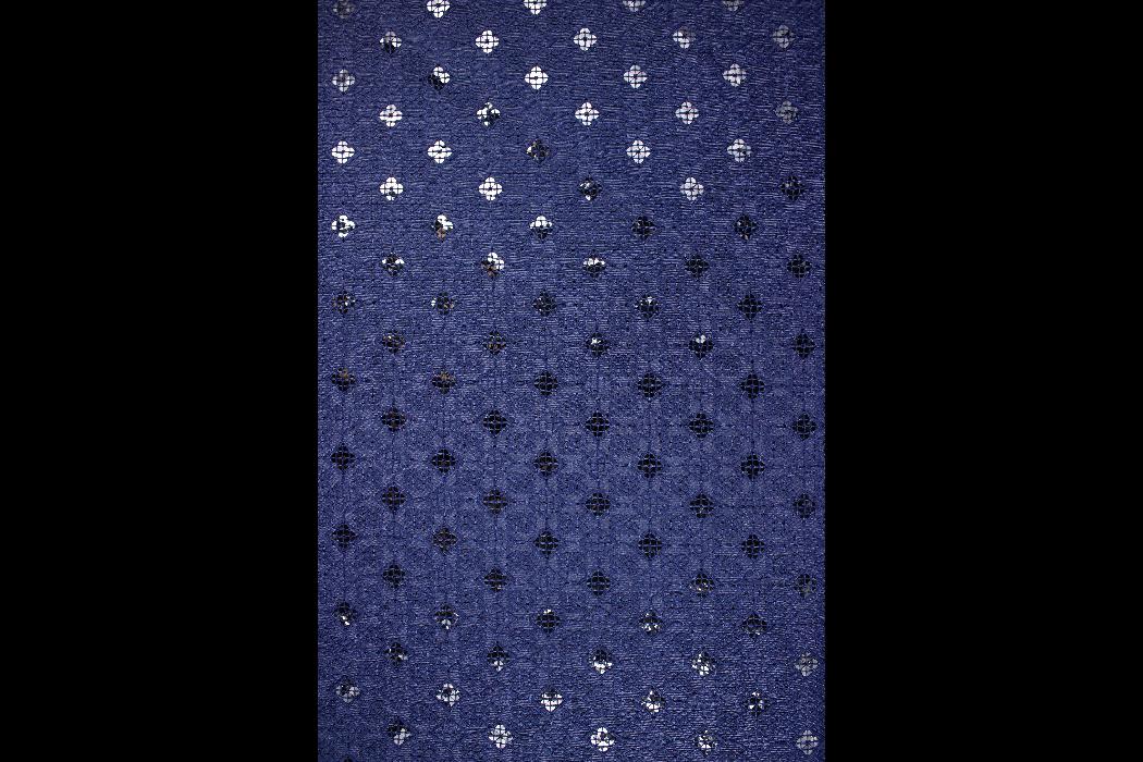 SCHIFFLI EMBROIDERY FABRIC