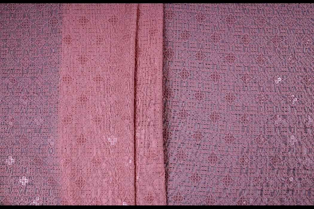 SCHIFFLI EMBROIDERY FABRIC